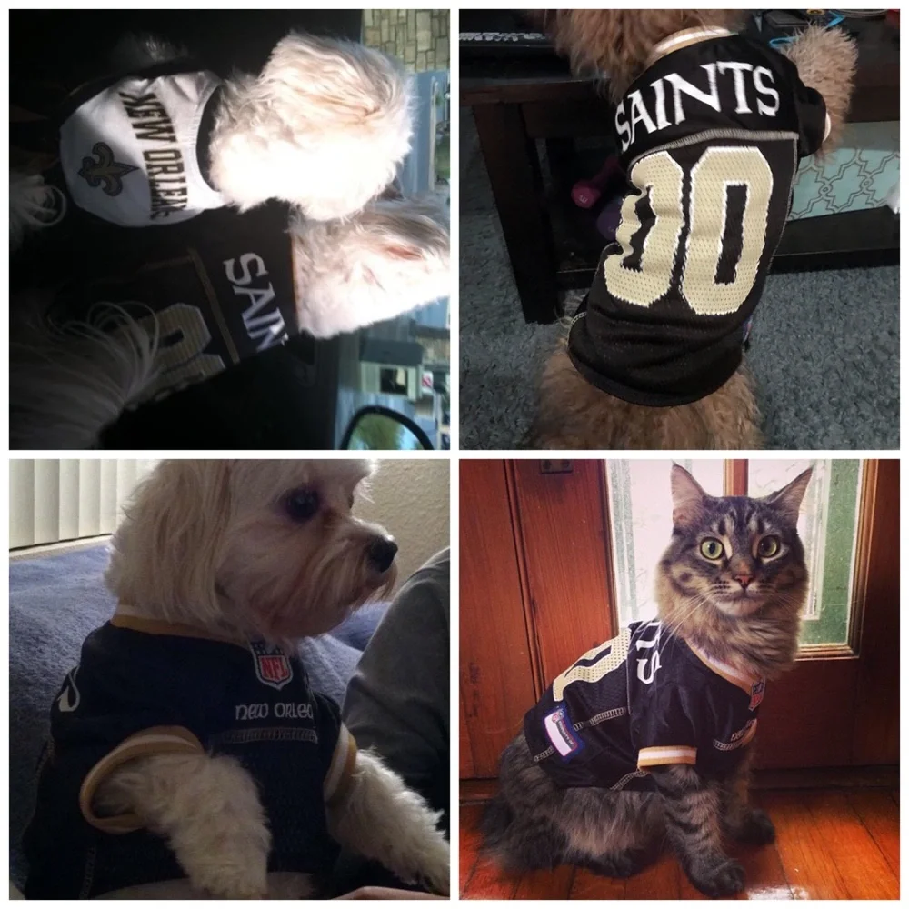 New Orleans Saints NFL Jersey